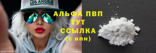 прущие грибы Шадринск