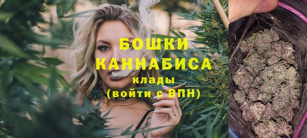 круглые Гусев