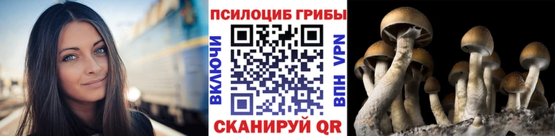 Купить где  Дрезна  Галлюциногенные грибы ЛСД 